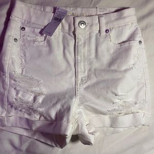 nwt american eagle curvy hi-rise shortie white 0